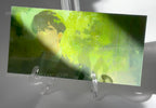 ALNST Lenticular Prints